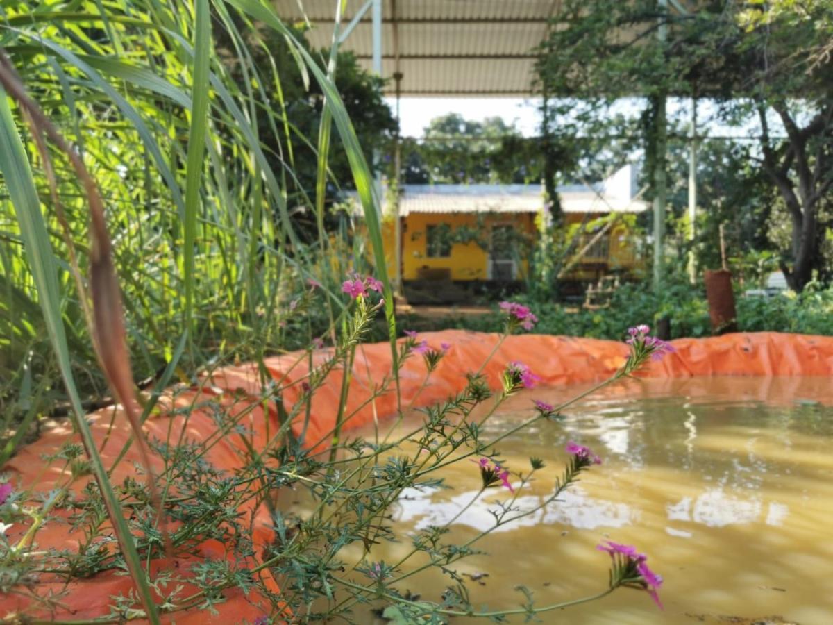 Hornbill Farm Resort Hyderabad Exterior foto